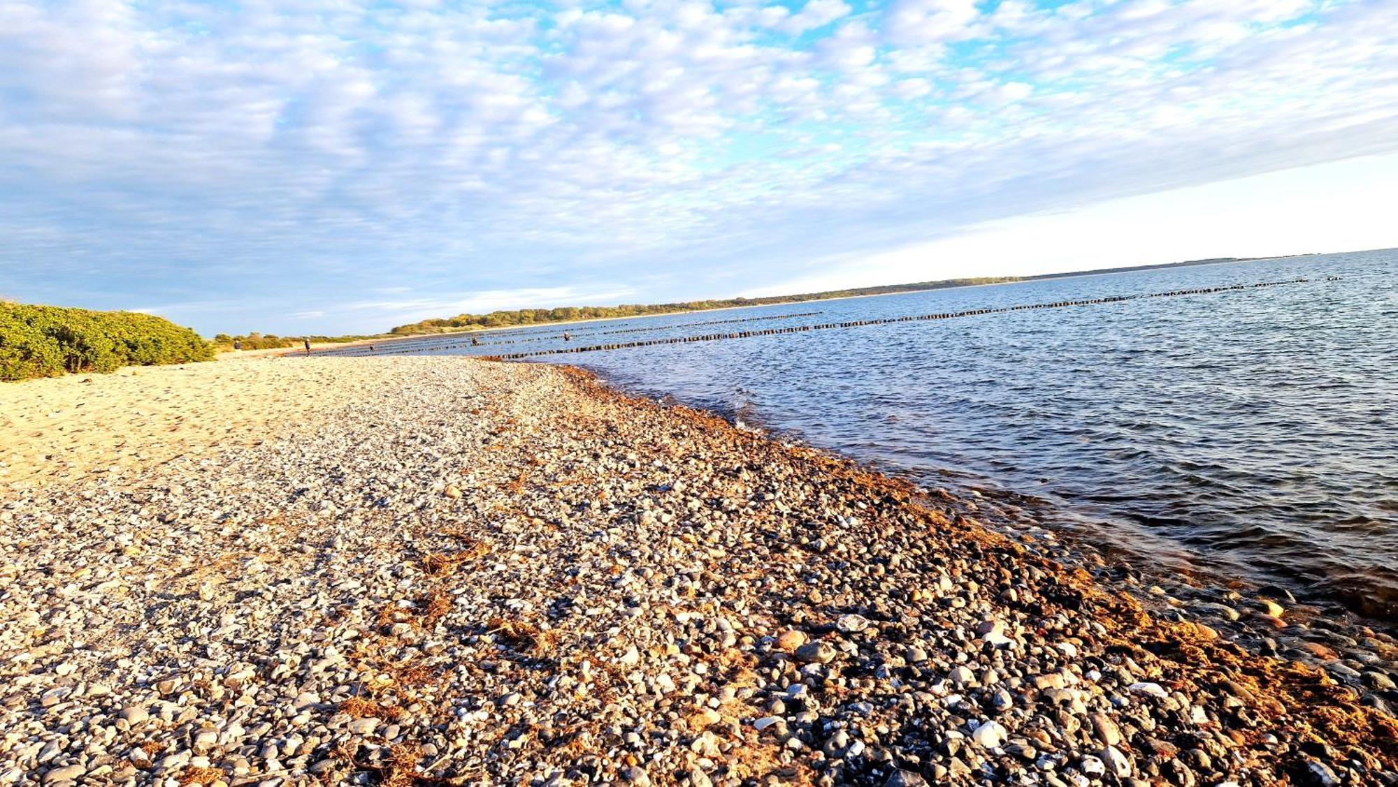 App 8O Grosser Tag Am Meer Mit Wasserblick Dranske Dış mekan fotoğraf
