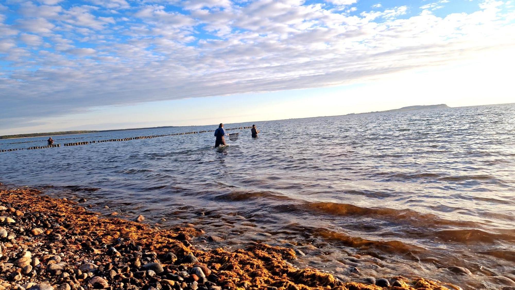 App 8O Grosser Tag Am Meer Mit Wasserblick Dranske Dış mekan fotoğraf